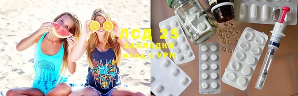 дурь Аркадак