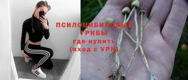 ешки Арсеньев