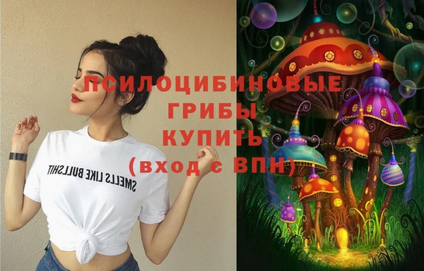 ешки Арсеньев