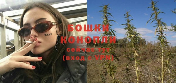 дурь Аркадак