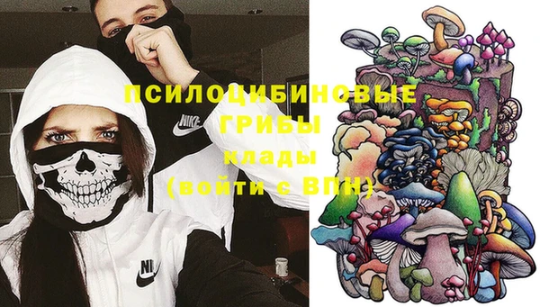 ешки Арсеньев