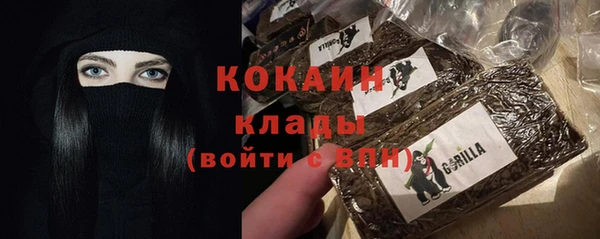 ешки Арсеньев