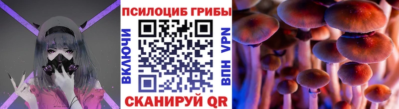 закладки MEGA как войти Псилоцибиновые грибы Cubensis Усть-Джегута